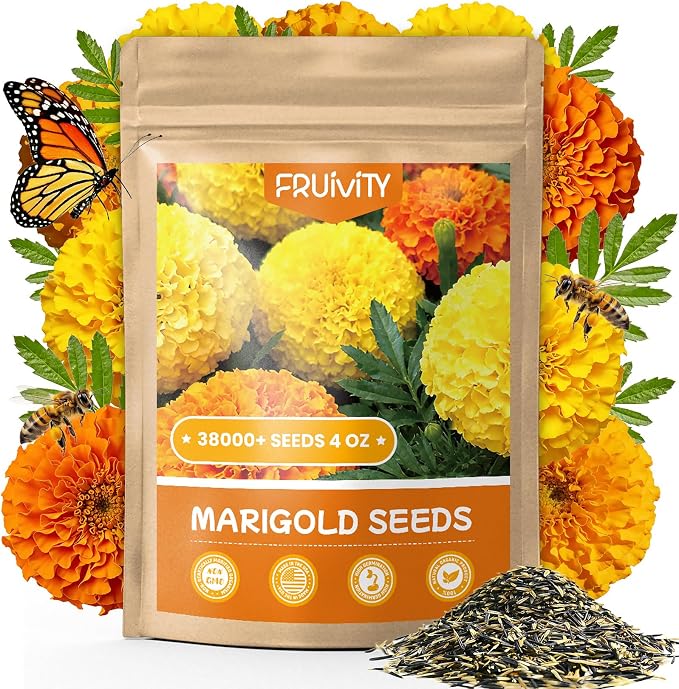 Tri-Color French Marigold Seeds for Planting â 4OZ 38,000+ Open-Pollinated Flower Seeds to Plant, High Germination Rate, Fast Blooming for Gardens, Containers & Companion Planting