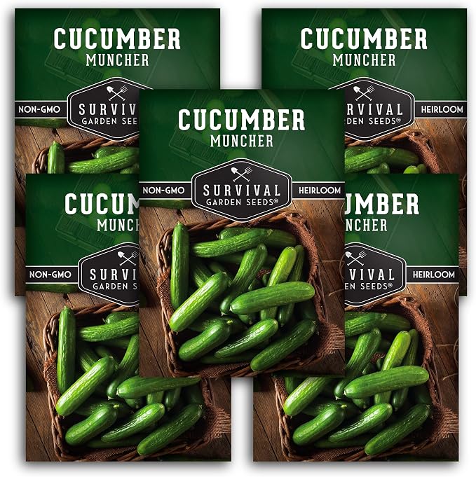 Muncher Cucumber Seeds for Planting | Burpless Variety with Smooth Skin for Snacking or Slicing â Survival Garden Seeds (5 Packs)