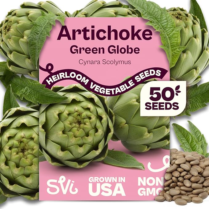 SVI 50 Green Globe Artichoke Seeds (Cynara scolymus) â Globe Artichoke Seed Packets, Artichokes Garden Seed Perennial â Heirloom Vegetable Seeds for Outdoor Garden Raised Beds, Containers