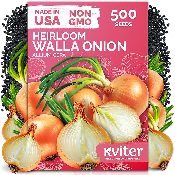 KVITER 500 Walla Walla Onion Seeds for Planting (Allium cepa) â Long Day Sweet Onions Gardening Seeds â Non GMO Heirloom Vegetable Seed Packets, Outdoor & Indoor Gardening, Home Garden, Raised Beds