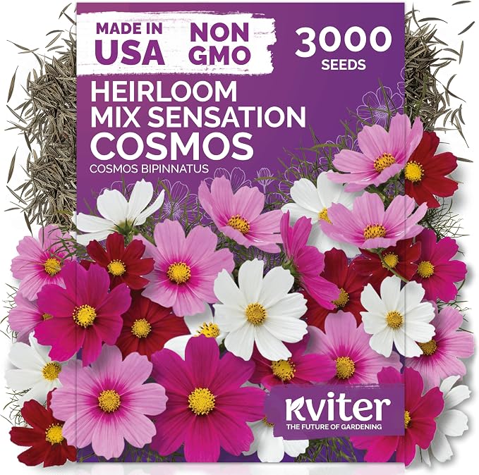 KVITER 3000 Mix Sensation Cosmos Seeds (Cosmos Bipinnatus) â Tall Cosmo Mix in Seed Packets, Butterfly Favorite, Non GMO Seed â Annual Flower Seeds for Outside, Outdoor Flower Garden, Ideal Cut Flower