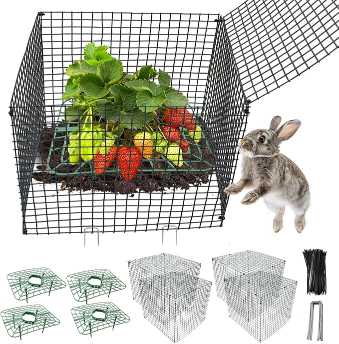 4 Sets Upgraded Strawberry Supports with Wire Plant Protectors from Animal 12x12Inch Sturdy Metal Wire Plant Cages Mesh Plant Cover and Strawberry Growing Racks Planting Stand for Garden Strawberry