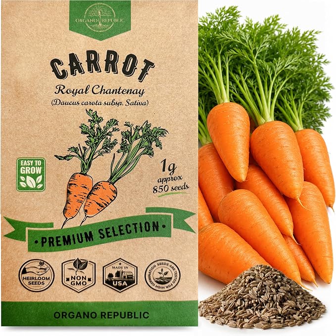 Organo Republic Carrot Royal Chantenay Seeds Pack 1G - Over 850 of Non-GMO Heirloom Carrot Seeds for Planting Vegetables in Individual Seed Packet, Vegetable Seeds for Planting Indoor & Outdoor Garden