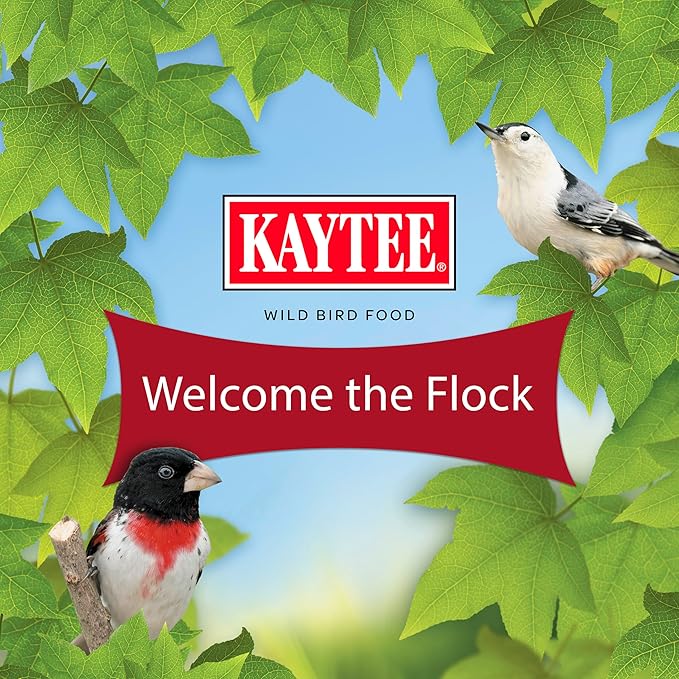 Kaytee Wild Bird Finch Food Blend, 3 lb