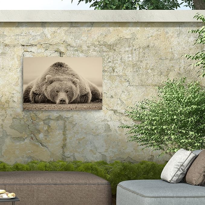Trademark Fine Art Outdoor Canvas Art - Phburchett 'Deep Sleep' Wall Art for Outdoor Spaces, Patios, or Gardens