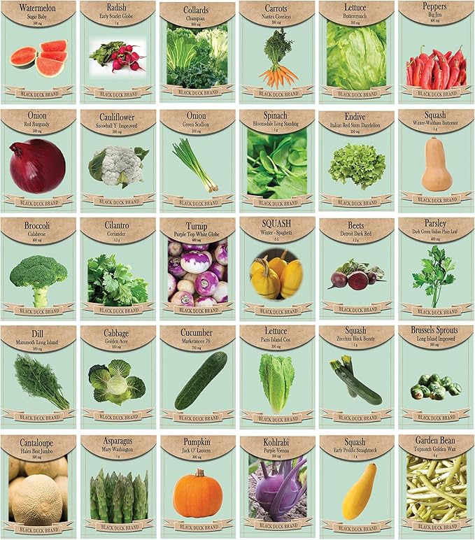 30 Assorted Packages of Vegetable Seeds, 15+ Varieties, All Seeds are Heirloom, 100% Non-GE