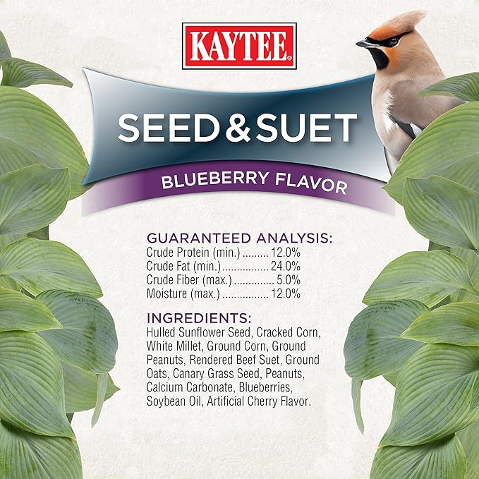 Kaytee Seed & Suet No Mess Blend Blueberry Flavor 10 Pounds