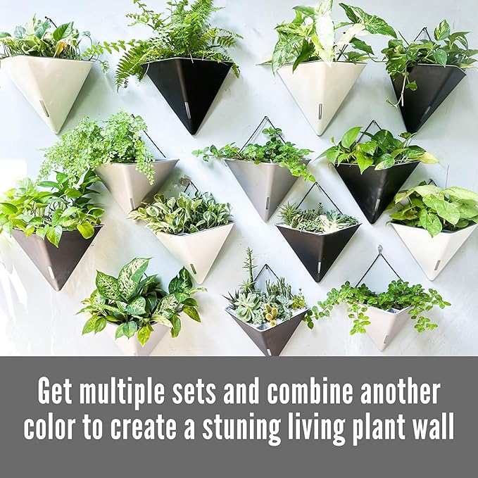 LaLaGreen Wall Planters for Indoor Plants