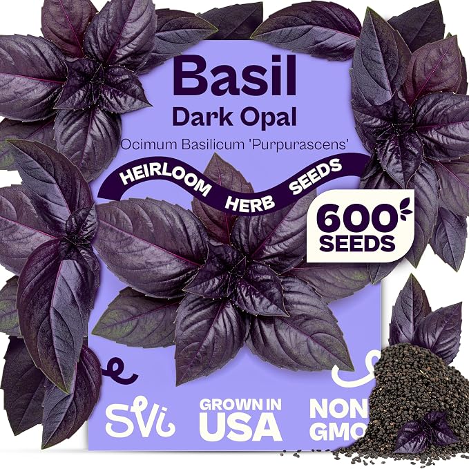 SVI 600 Dark Opal Basil Seeds (Ocimum basilicum) â Purple Sweet Basil Seed Packets âNon GMO Heirloom Herb Seeds, Aromatic Natural Herbs for Containers, Outdoor & Indoor Herb Garden