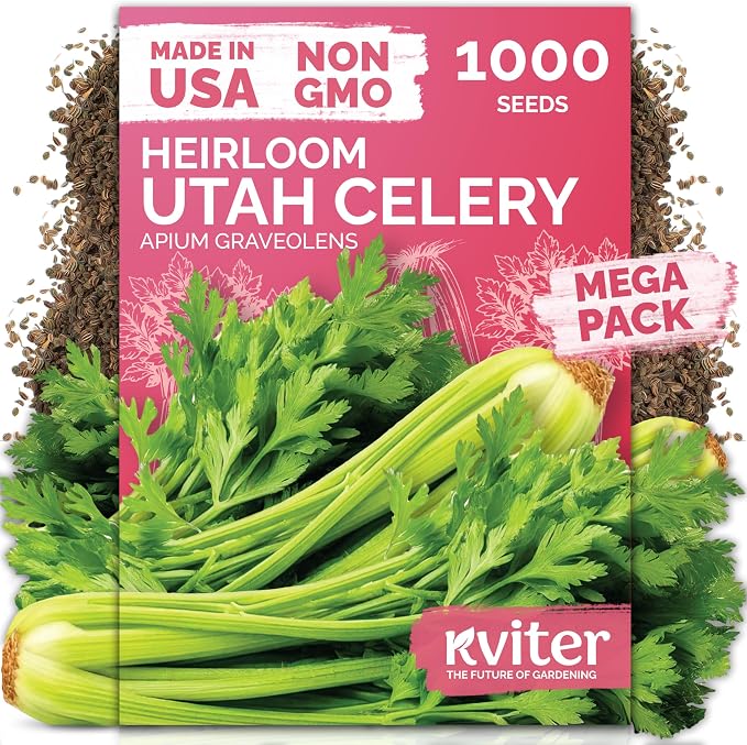 KVITER 1000 Tall Utah Celery Seeds (Apium graveolens) â Celery Seed Packets Home Grown â Non GMO Heirloom Vegetable Garden Seeds for Planting, Outdoor & Indoor Garden Beds, Containers