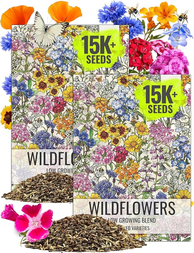 Seed Needs Low Growing Wildflower Flower Seeds for Planting | 2 Packs (1 Ounce Each) Mixture/Blend 17 Varieties | Resealable Package Multicolored Blooms Open Pollinated Mixed Species | Bulk