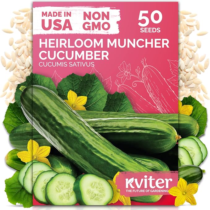 KVITER 50 Muncher Cucumber Seeds (Cucumis sativus) â Burpless & Seedless Cucumber, Non GMO & Heirloom Cucumbers â Vegetable Seeds for Planting Outdoors in Home Garden & Containers