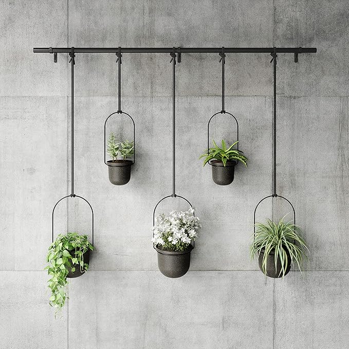 Umbra Triflora Hanging Planter for Window, Indoor Herb Garden