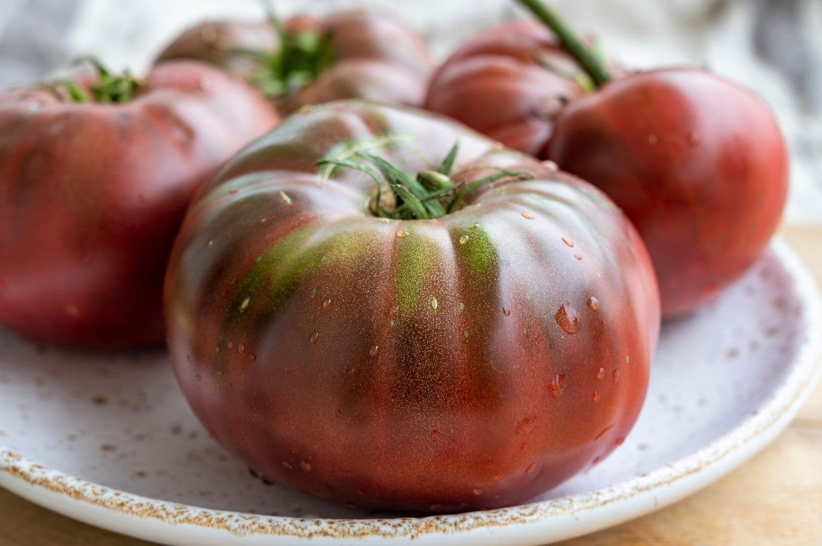 80 BLACK KRIM TOMATO Solanum Lycopersicum Indeterminate Heirloom Beefsteak Fruit Vegetable Seeds