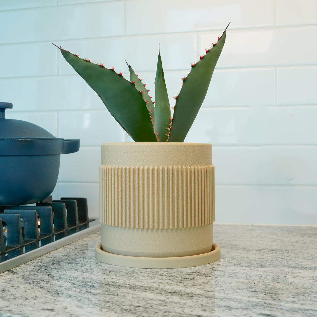 Half Mid-Century Ribbed Planter with Drainage and Saucer
