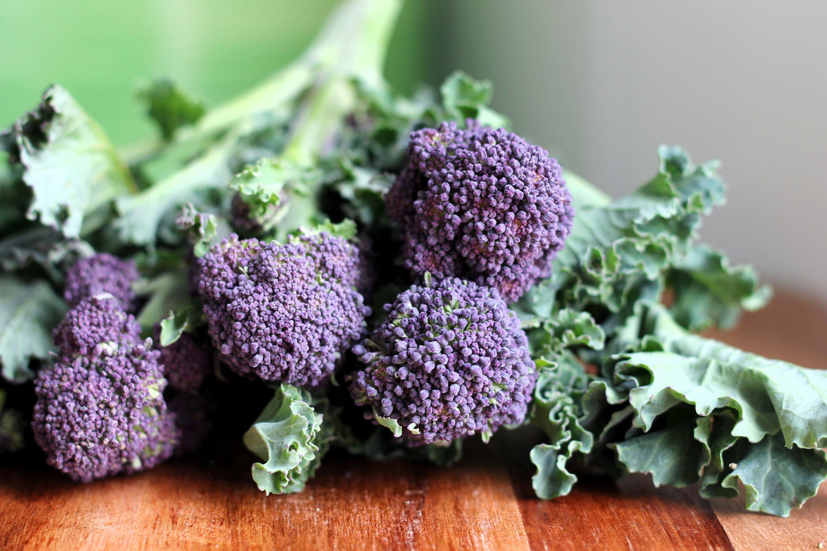 200 PURPLE SPROUTING BROCCOLI Brassica Oleracea Vegetable Seeds