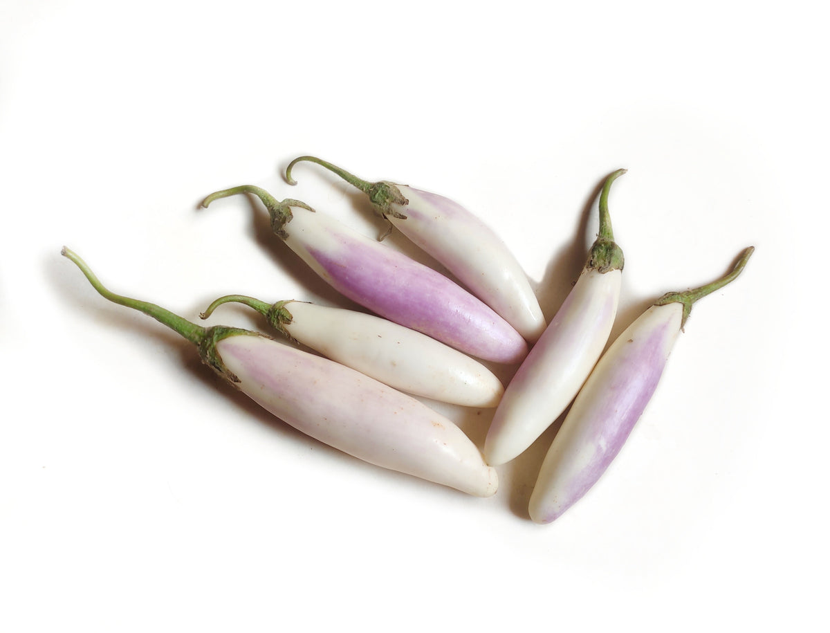 25 BRIDE EGGPLANT White & Purple Fruit / Vegetable Solanum Melongena Seeds
