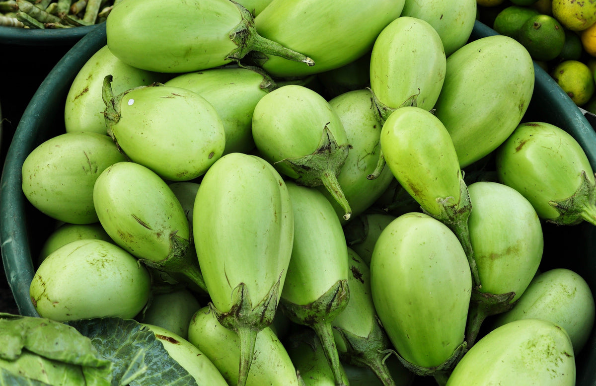 25 APPLEGREEN EGGPLANT Green Fruit / Vegetable Solanum Melongena Seeds