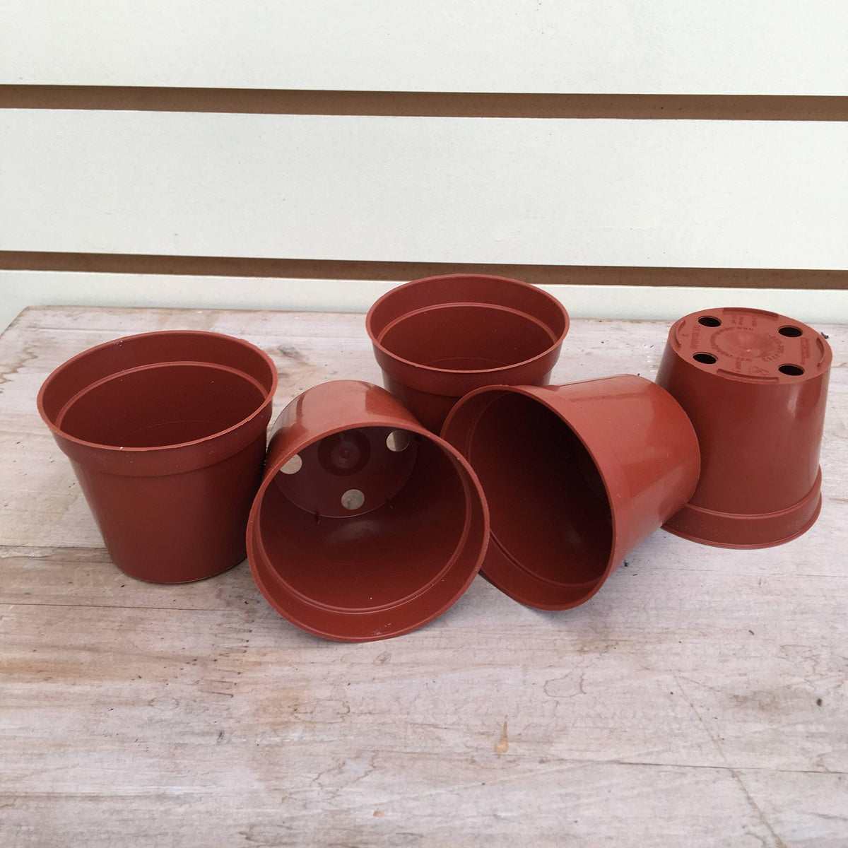 Starter Kit for Small Cuttings