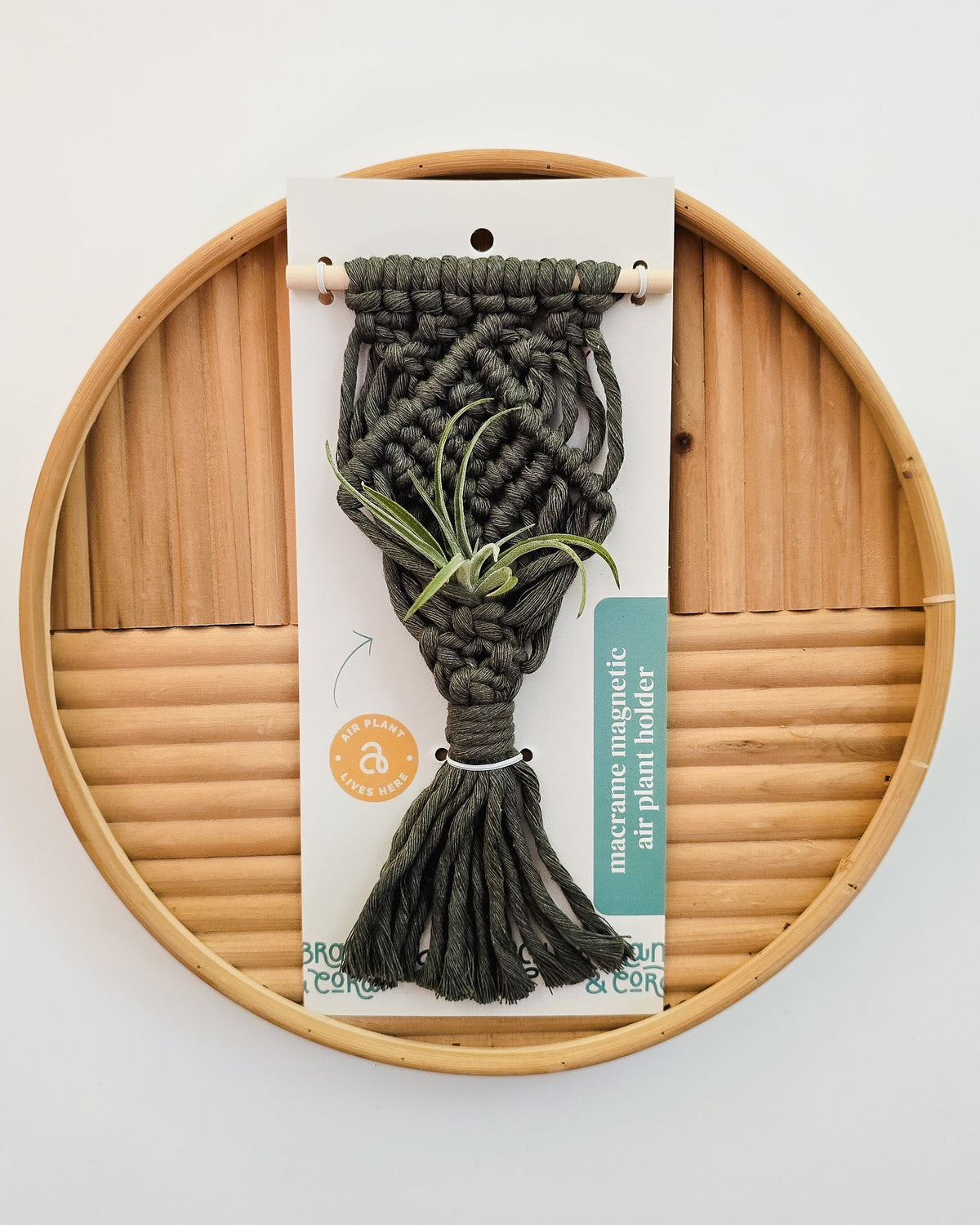 Mini Magnetic Macrame Air Plant Hangers â Handmade Boho Decor