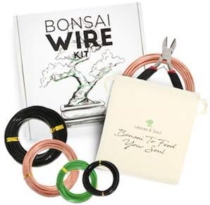 Bonsai Starter Bundle – Premium Bonsai Soil 8.2QT + Tree Training Wire Kit 160ft with Cutter & Canvas Bag – Complete Bonsai Care & Wiring Set for Beginners & Pros