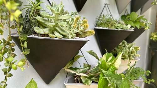 LaLaGreen Wall Planters for Indoor Plants