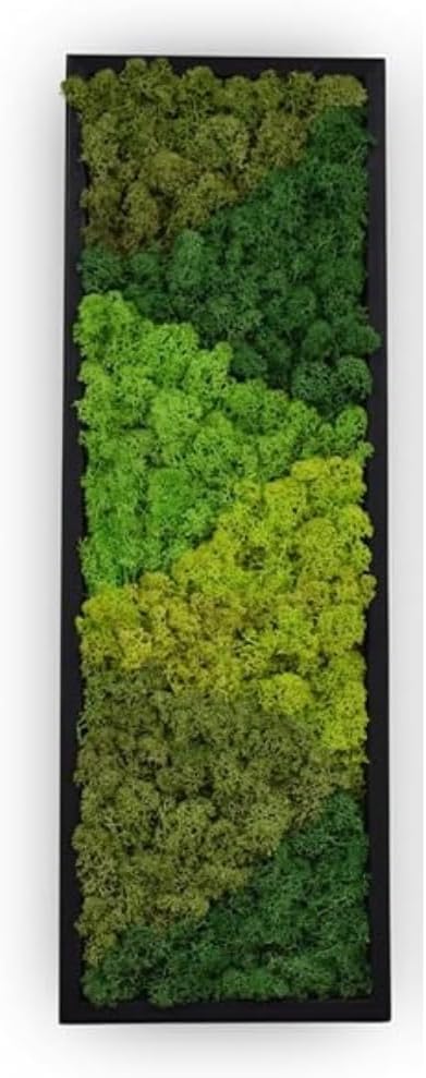 yersiz Large Moss Pattern Wall Art, Real Moss Wall Art