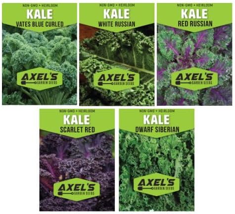 Kale Seeds for Planting - Plant & Grow Heirloom Kale Varieties Home Outdoor Garden â Easy Grow Planting Packet Instructions Included, Great Gardening Gift â 2 Packets of Each Variety