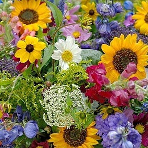Dirt Goddess Super Seeds ~ Cut Flower Mix Seed (5 Lbs)