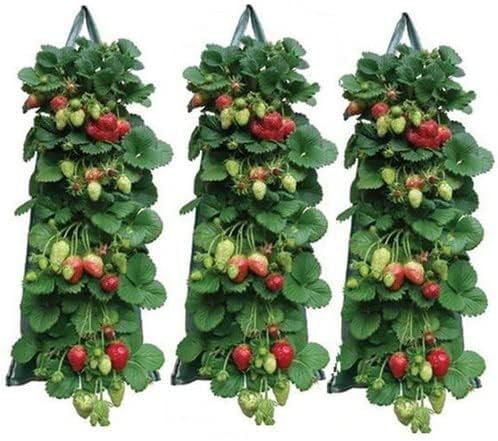 Hanging Strawberry Planter, 3 Pack Breathable Felt Grow Bags with 8 Side Pockets & Reinforced Handles, Upside-Down Patio Garden Container for Tomato, Vegetable, Flower, Outdoor Indoor Planting