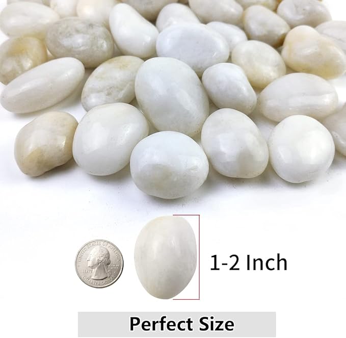 YISZM 10lbs White River Rocks, 1-2 Inch Natural Pebbles for Indoor Plants, High Polished Decorative Stones Vase Filler Fish Tank Aquariums Landscaping Garden Outdoor and Indoor DIY