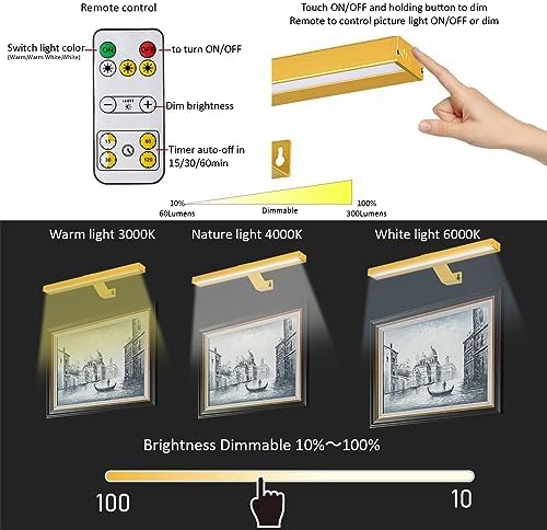MIOBLUE Wireless Picture Lights
