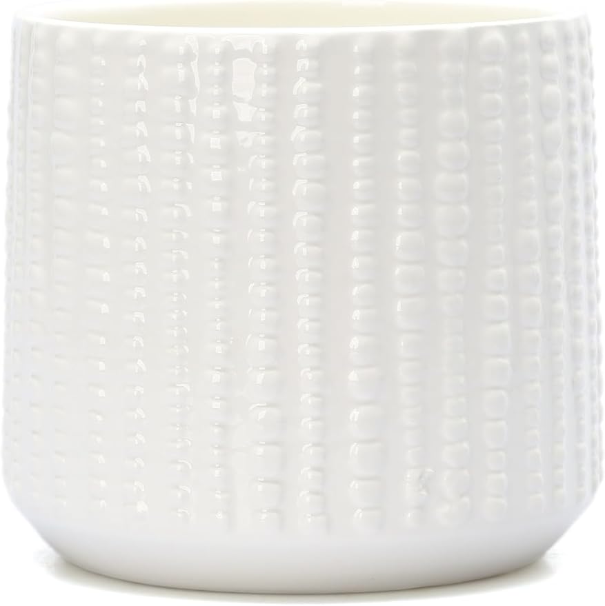 Ceramic Planter Pot with Drainage Hole, 5 Inch Dia, Indoor and Outdoor, Home Patio Garden, Plants Flower Succulent, Textured Round (White)