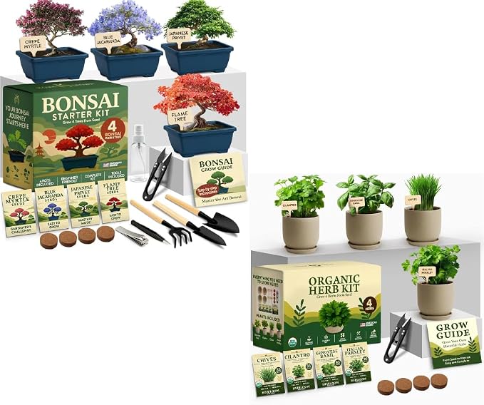 HOME GROWN Bonsai Tree Starter Kit – Unique Christmas Gift for Adults, Men, Women - Grow 4 Bonsais & Indoor Organic Herb Garden Kit – Unique Christmas Gift for Adults, Men, & Women - Grow 4 Herb Seeds