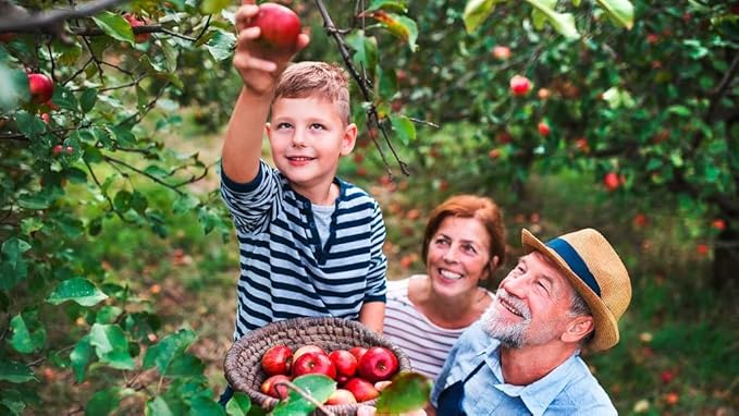 Gardenera Premium Apple Potting Soil Mix - Optimal Nutrient-Rich Blend for Thriving and Juicy Apples - 2 Quart