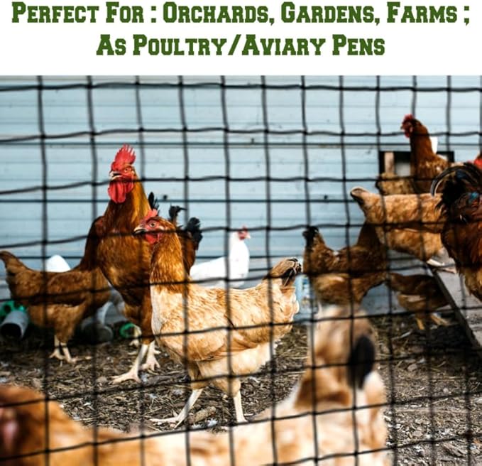 30 x 50 FT Bird Netting for Garden, 1" Square Mesh Size Heavy Duty Nylon Chicken Coop Netting for Blueberry Bushes, Fruit Trees and Vegetable Against Birds, Deer, Squirrels (30X50FT)
