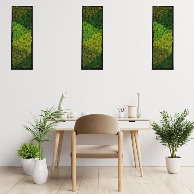 yersiz Large Moss Pattern Wall Art, Real Moss Wall Art