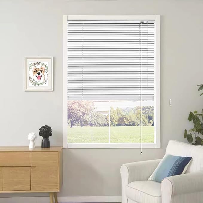 YIIBAII Mini Blinds Suitable for 36" W x 64" H Windows 1" Aluminum Horizontal