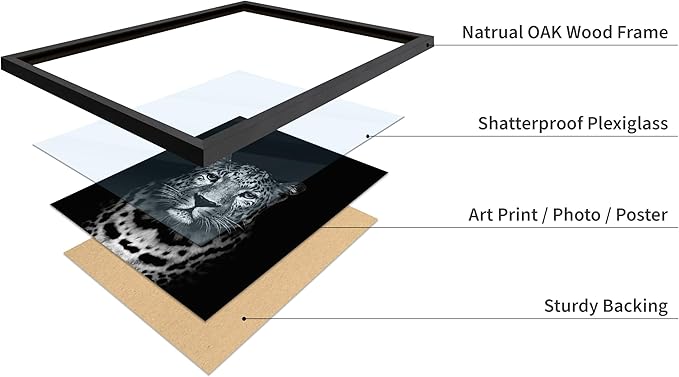 Poster Master Vintage Photograph Poster