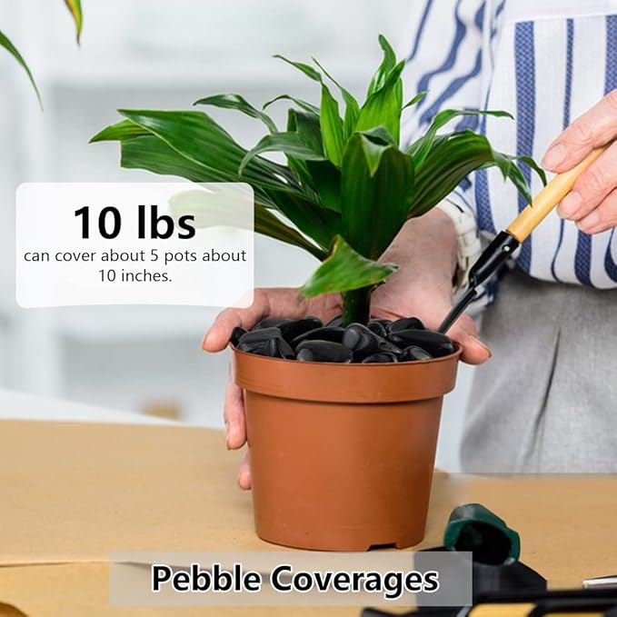 YISZM 20lbs Black Pebbles for Plants, 1-2 Inch High Polished Natural River Rocks for Landscaping, Decorative Stones Vase Filler Fish Tank Aquariums Garden Outdoor and Indoor DIY