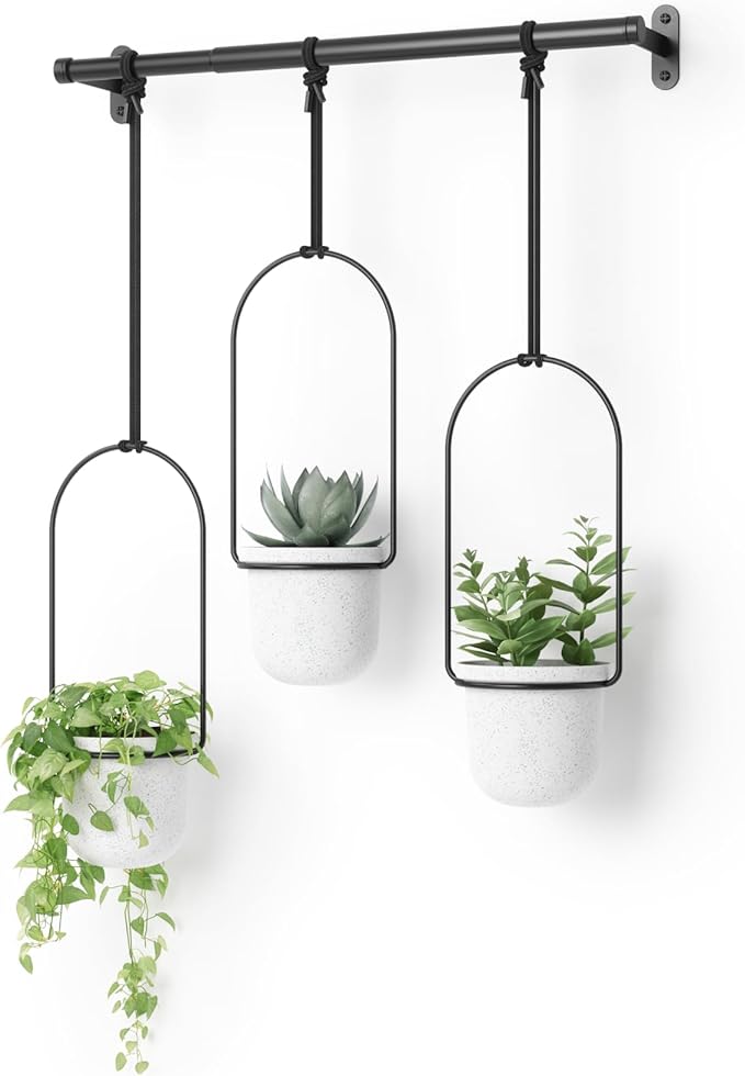 Umbra Triflora Hanging Planter for Window, Indoor Herb Garden