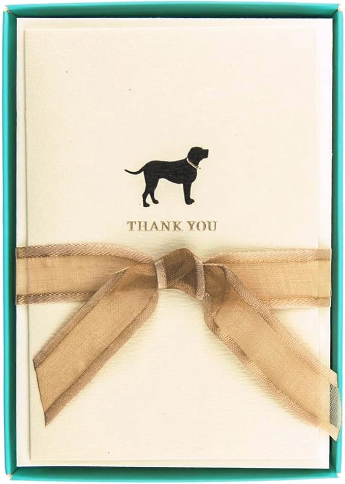 Graphique La Petite Presse Boxed Blank Thank You Cards - Black Lab with Gold Foil - Perfect Thank Yous for Gifts, Weddings, Bridal Showers, and More - Pack of 10 Cards with Envelopes (3.25 x 4.75")