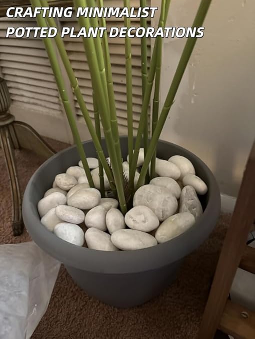 9lb White River Rocks for Plants, 1-3 Inch Pebbles for Indoor Plants, Polished Garden Rocks Outdoor Landscaping, Decorative Stones for Vases, Succulents, Aquarium, Walkways