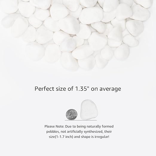 White Natural River Rocks, 1-1.5 Inch Decorative Stones for Plants, Garden, and Landscaping – 40LB, Ideal for Fish Tanks, Vases, Crafting, Home Decor, and Outdoor Landscaping