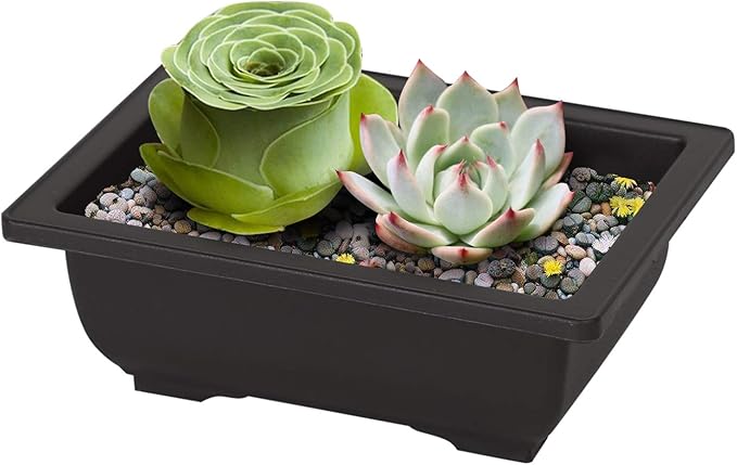 KINJOEK 15 PCS 6.5 Inch Plant Pot, Rectangular Plastic Bonsai Training Pots with 15 Humidity Trays, Flower Succulent Pots Container Bonsai Tree Planters for Garden, Indoor, Home Decorative