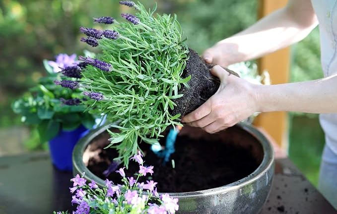 Gardenera Organic Moisture Control Potting Mix - Absorbs 33% More Water Than Basic Potting Soil - 5 Quart