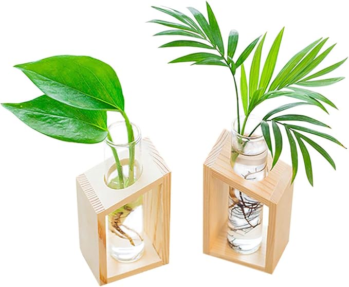 Ivolador Plant Propagation Station, Plant Propagation Tubes,Gifts for Plant Lovers,Plants Cutting Holder Office Desk Garden DÃ©cor Gifts for Mom Women Hydroponic Vase Gift Box