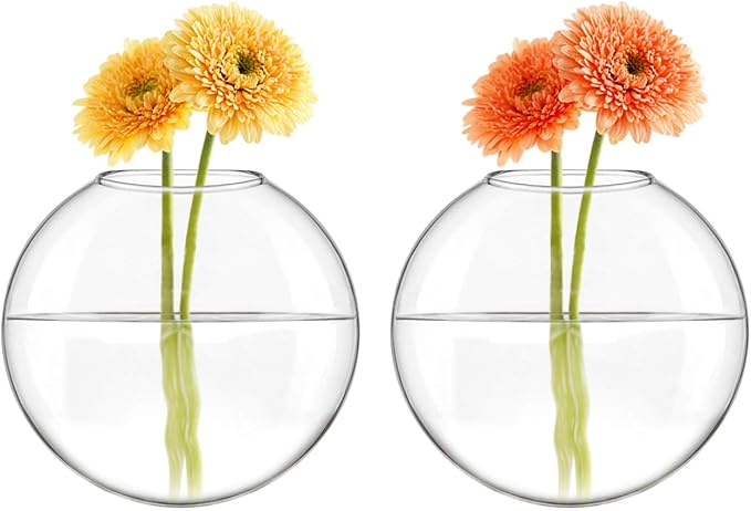 Mkono Wall Hanging Glass Terrariums Planter Oblate Flower Vase