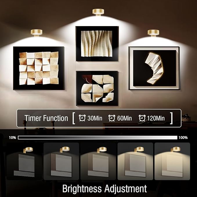 Xuolder Picture Lights for Wall, 2000mAh Rechargeable Battery Poster Lights LED