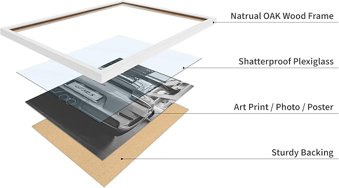 Poster Master Car Poster
